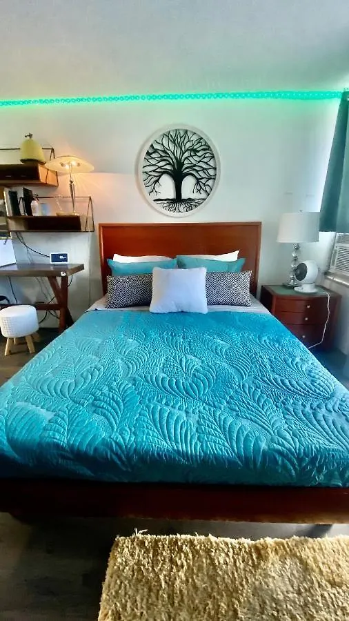 Daire Lewers Studio Suite Honolulu